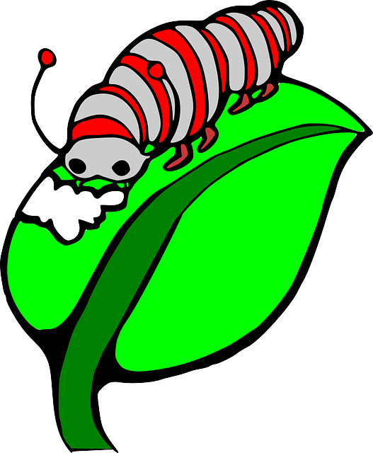Worm clipart animal crawl.  collection of caterpillar