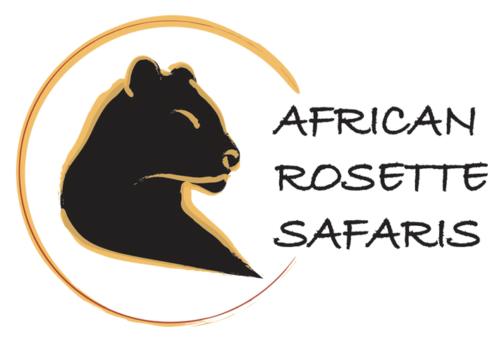 sunny clipart temperate climate