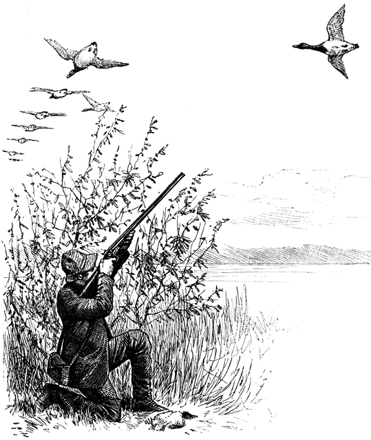 hunting clipart goose hunting