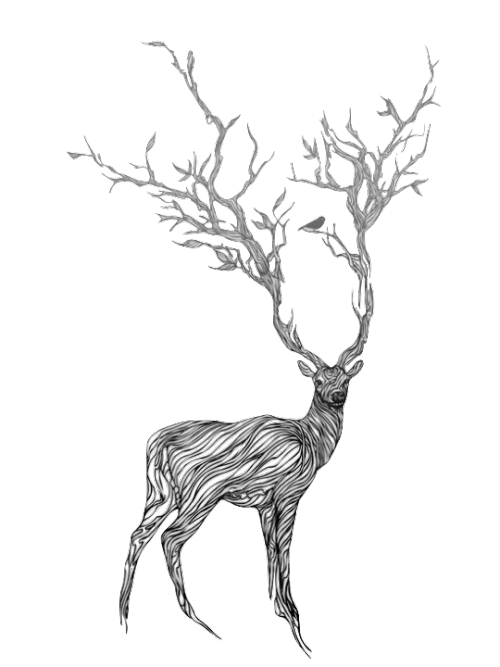 hunting clipart deer bust