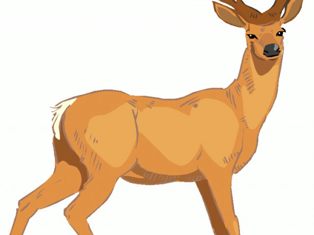 Hunting deer logo