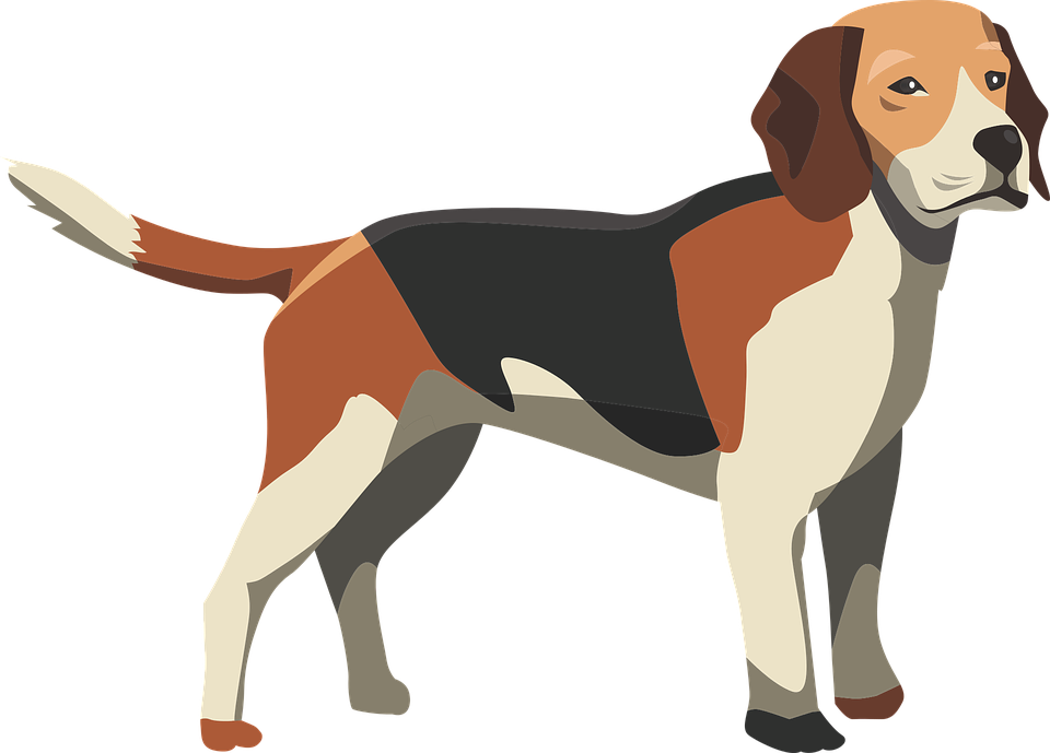 hunting clipart pointer dog
