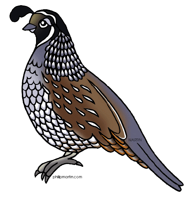 hunting clipart quail