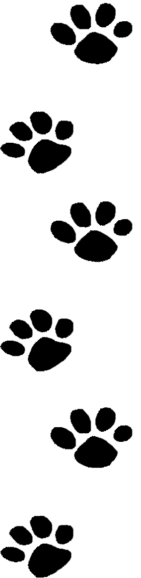 Wolves clipart paw print.  collection of transparent