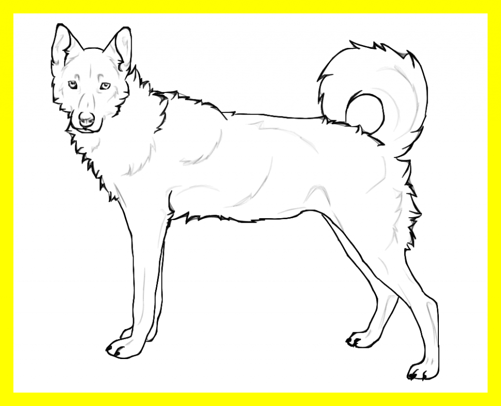 Download Husky clipart coloring page, Husky coloring page Transparent FREE for download on WebStockReview ...