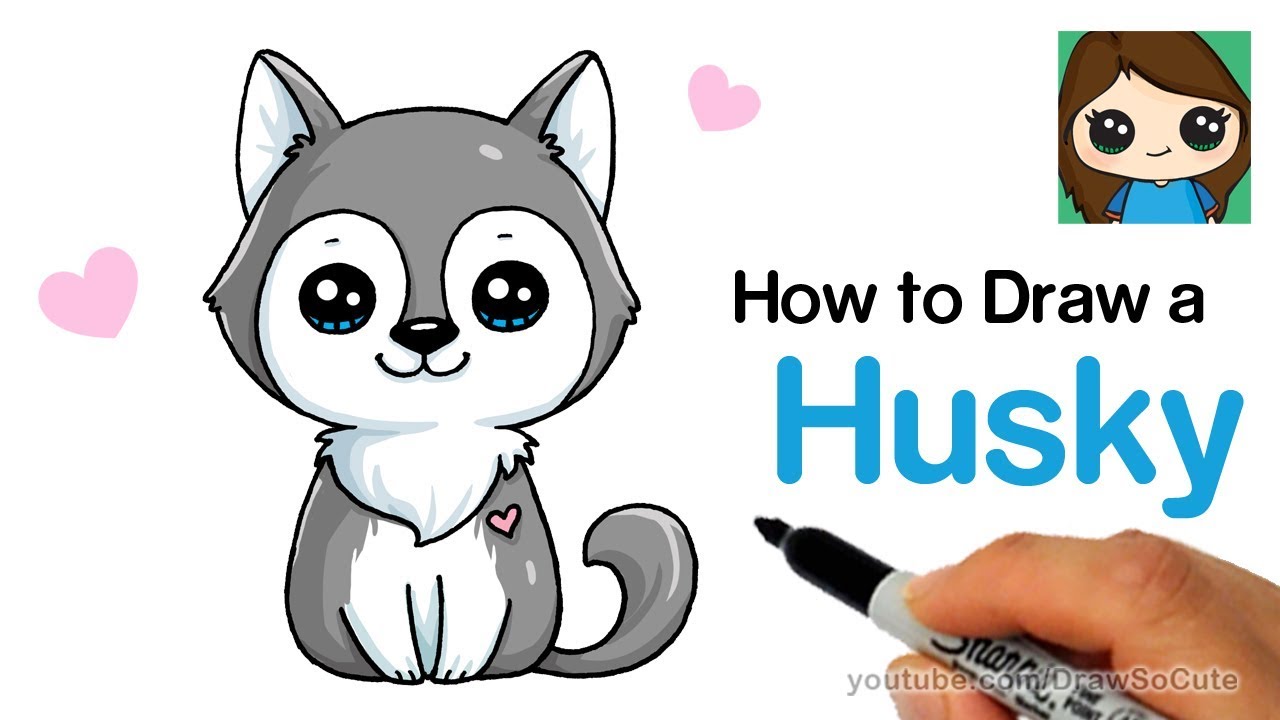 husky clipart cute drawing
