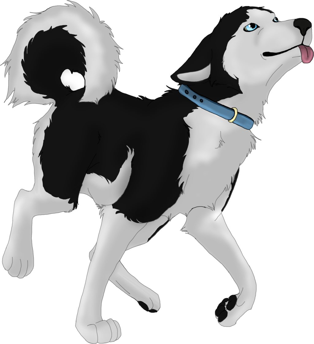 husky clipart simple drawing
