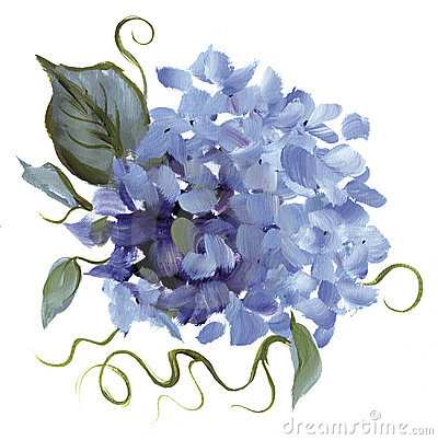  vector art images. Hydrangea clipart blue drawing