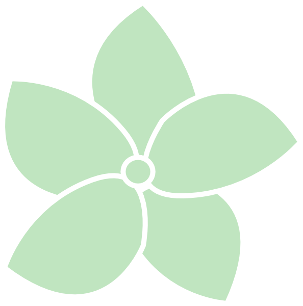 Hydrangea green hydrangea