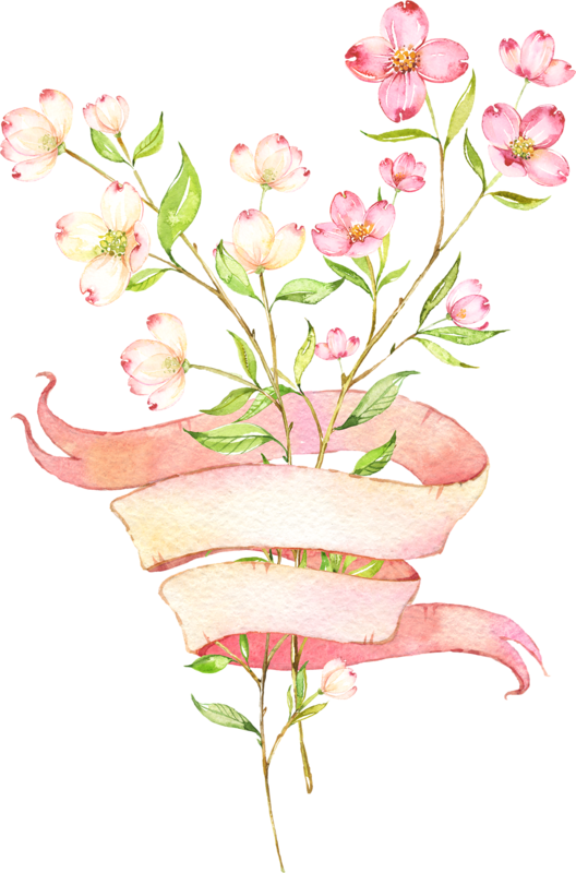 Hydrangea clipart hand painted. Fleurs flores flowers bloemen