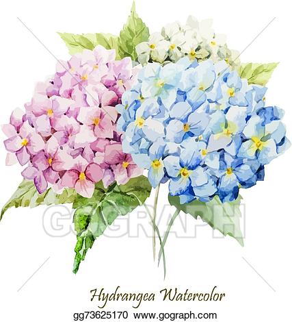 hydrangea clipart hydrangea bouquet
