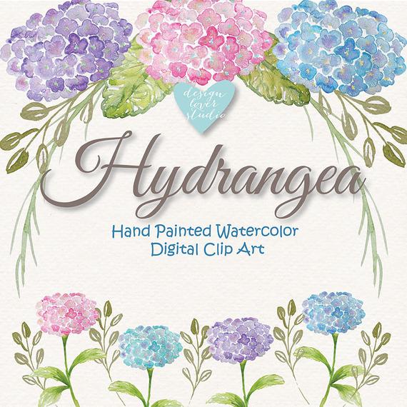 hydrangea clipart purple wedding flower