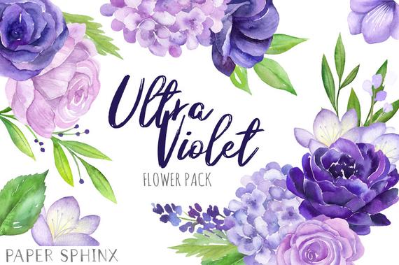 hydrangea clipart purple wedding flower