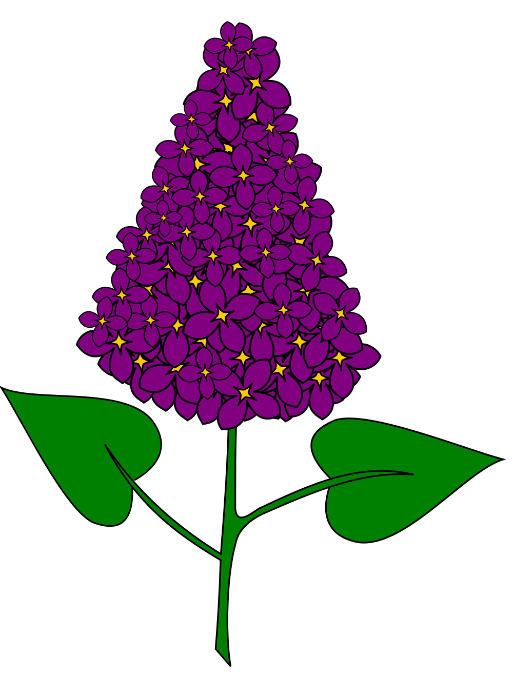 Hydrangea clipart svg, Hydrangea svg Transparent FREE for download on