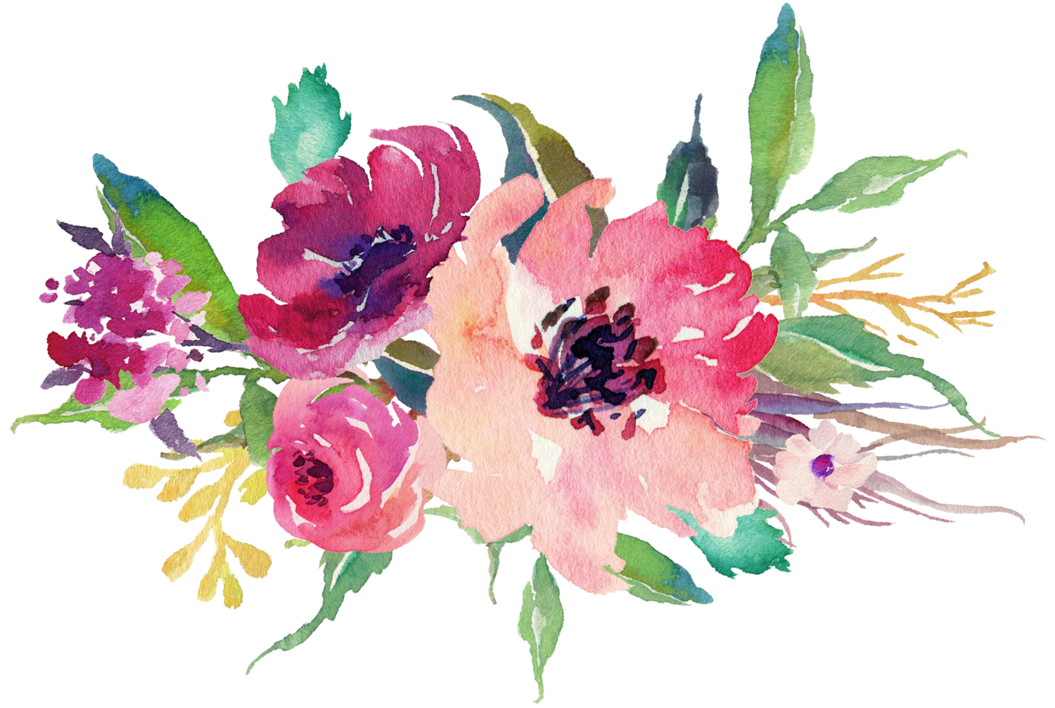 hydrangea clipart watercolor
