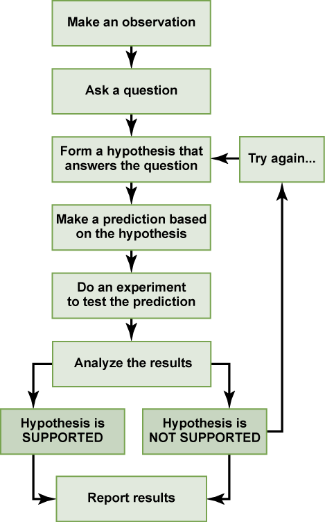 hypothesis clipart prediction