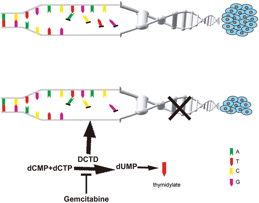 The about recommission of. Hypothesis clipart synthesis