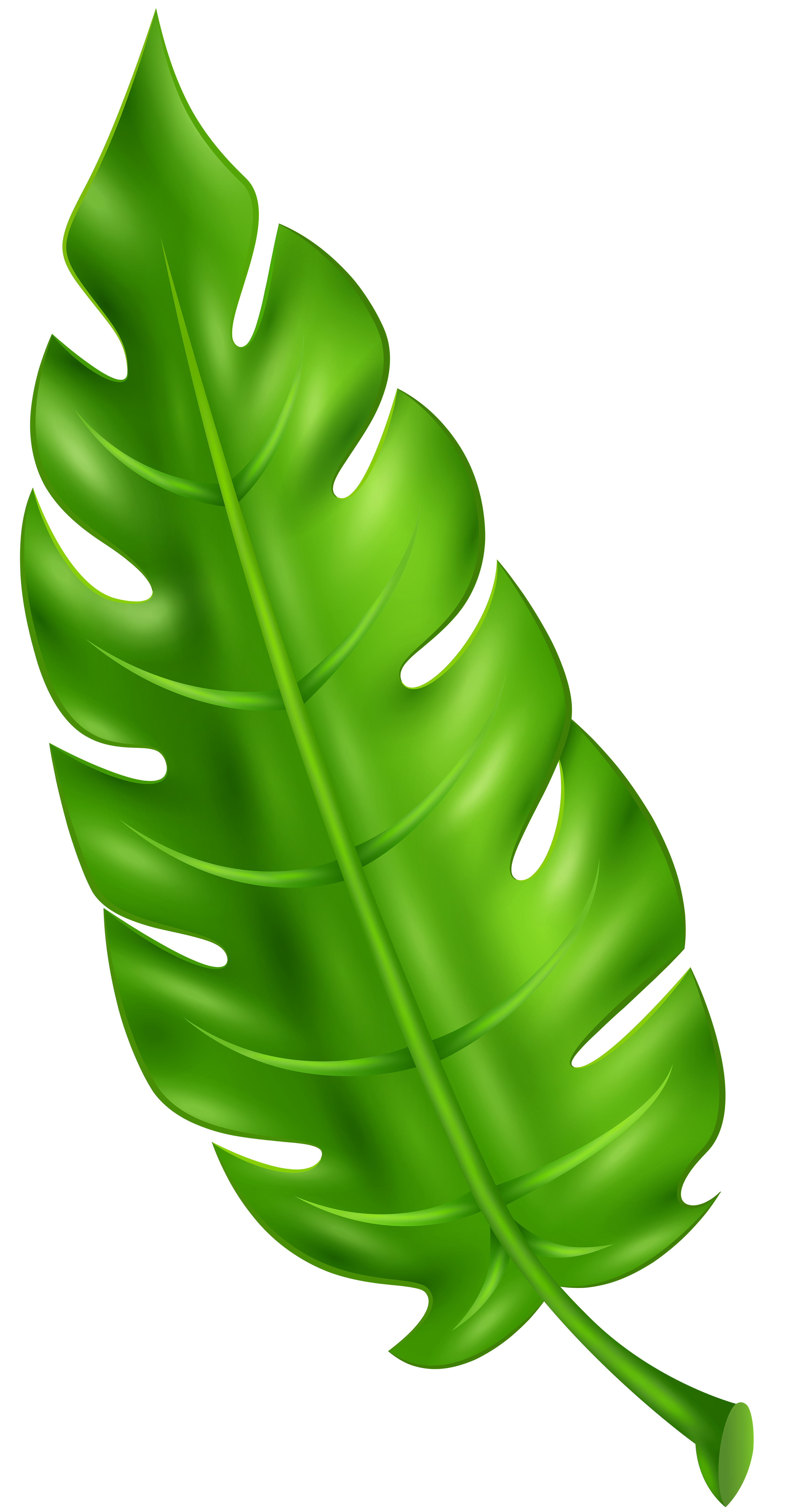 leaves clipart green