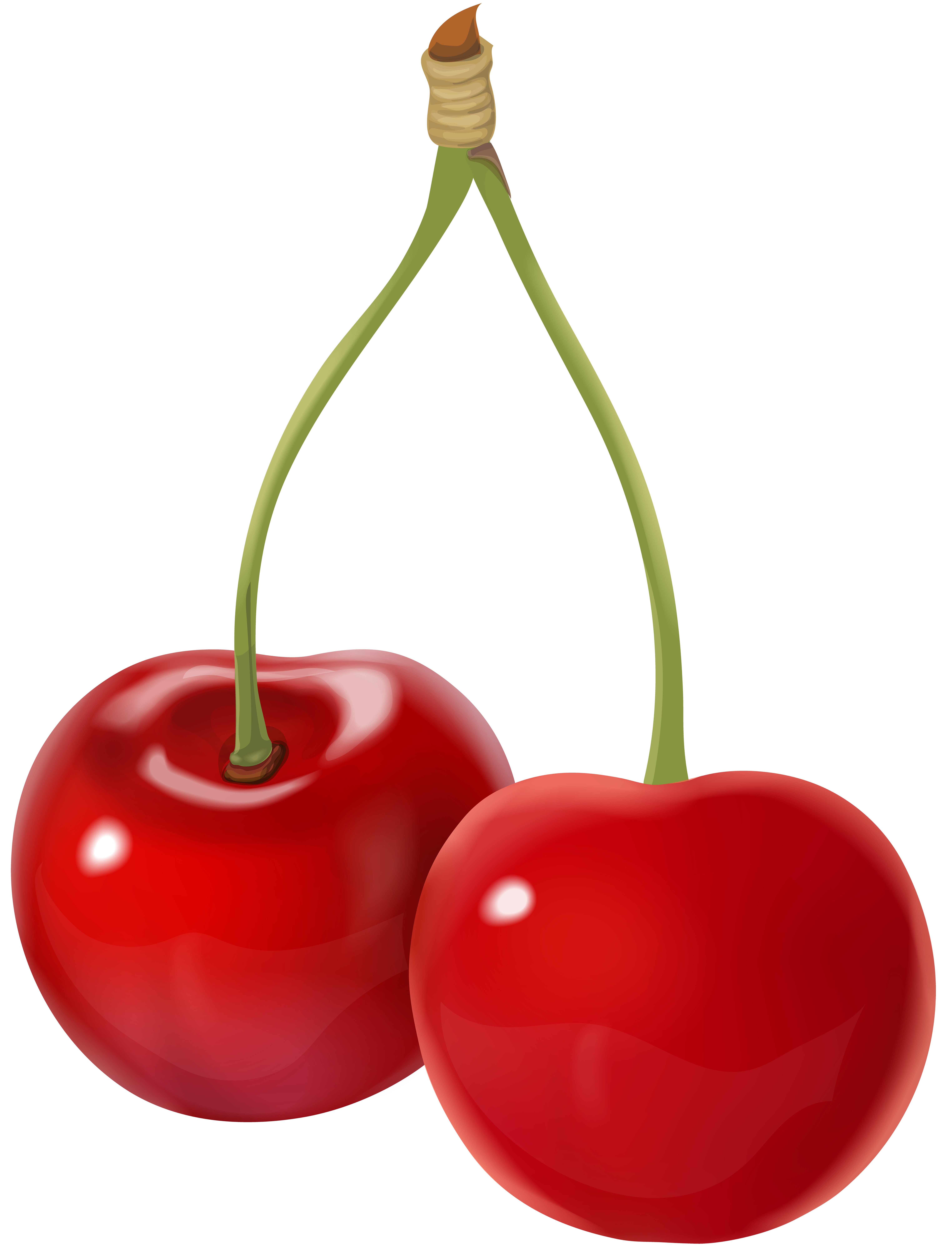 Ice clipart cherry. Cherries clip art png