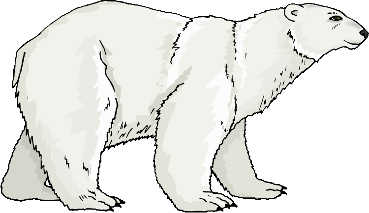 Free cliparting com. Ice clipart polar bear