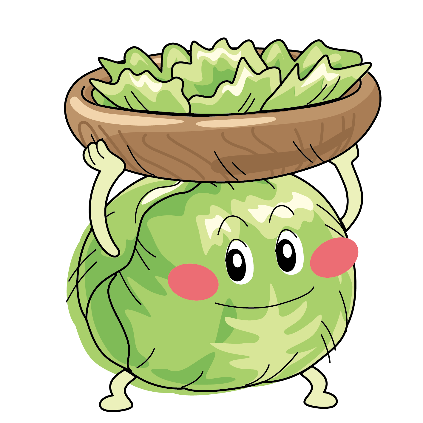Lettuce vegetable cartoon q. Iceberg clipart drawn