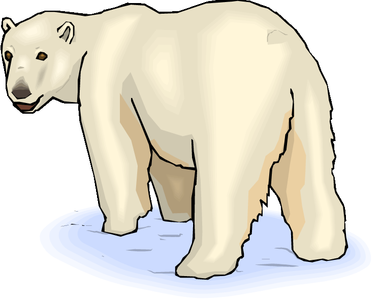 igloo clipart seal arctic
