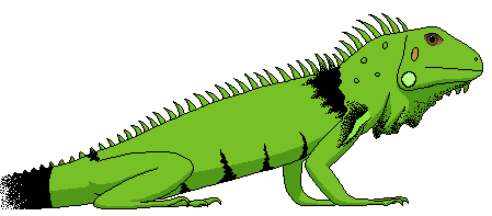 Iguana clipart clip art. Library 