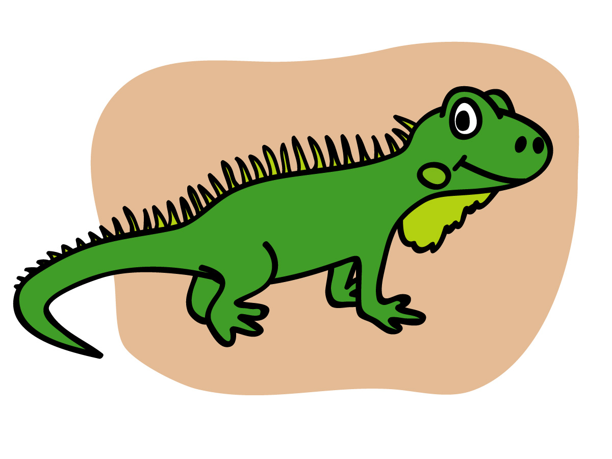 Basic words color labeled. Iguana clipart clip art