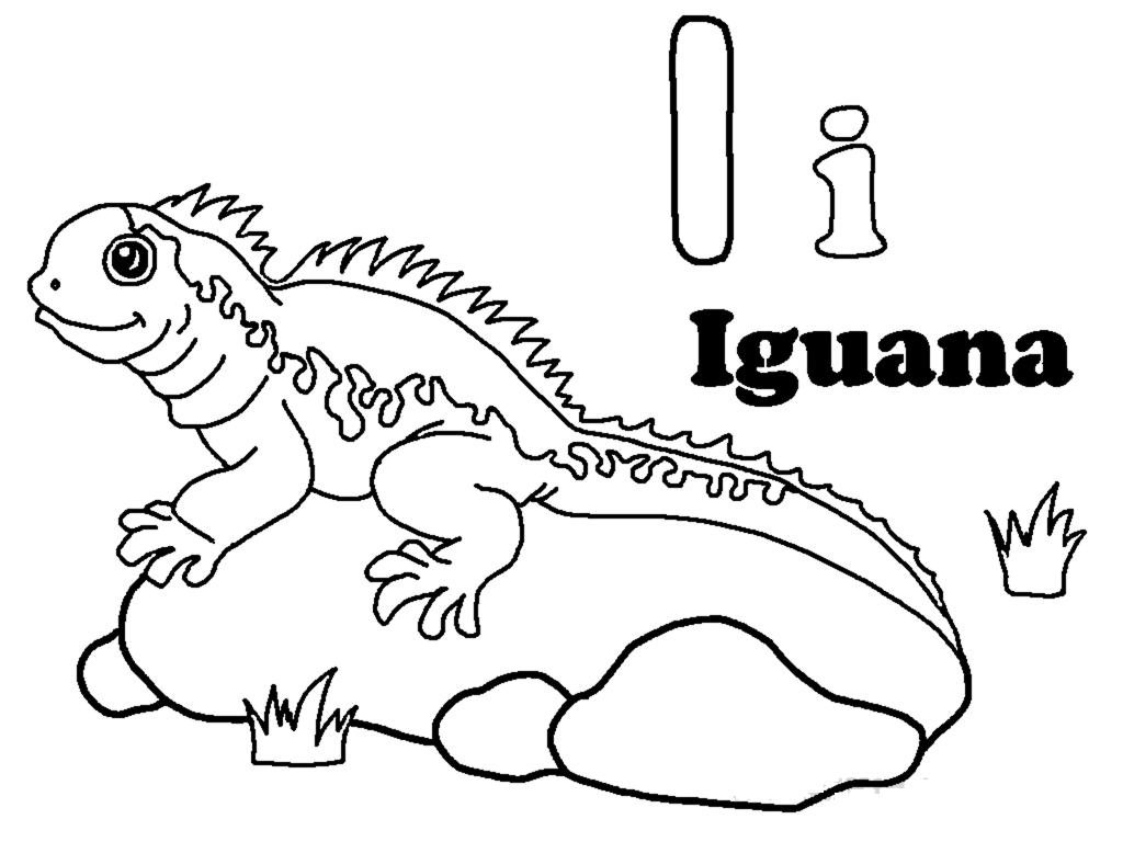 iguana clipart colouring