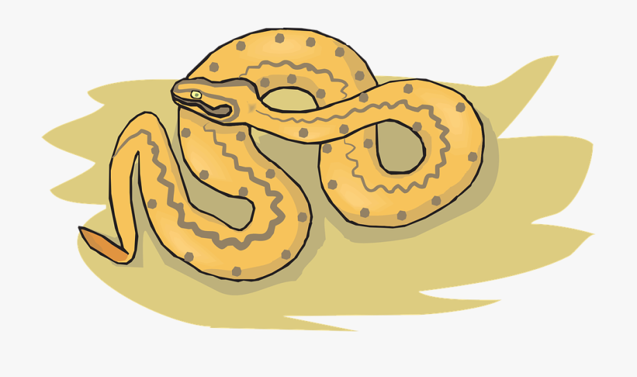 Sand reptile coiled slithering. Iguana clipart desert snake