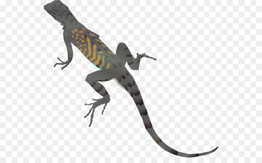 Iguana clipart horned lizard. Animal cartoon transparent clip