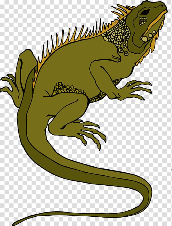 Iguana clipart horned lizard. Desert transparent background png