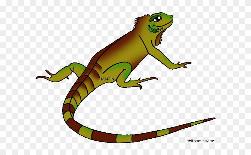 iguana clipart land animal