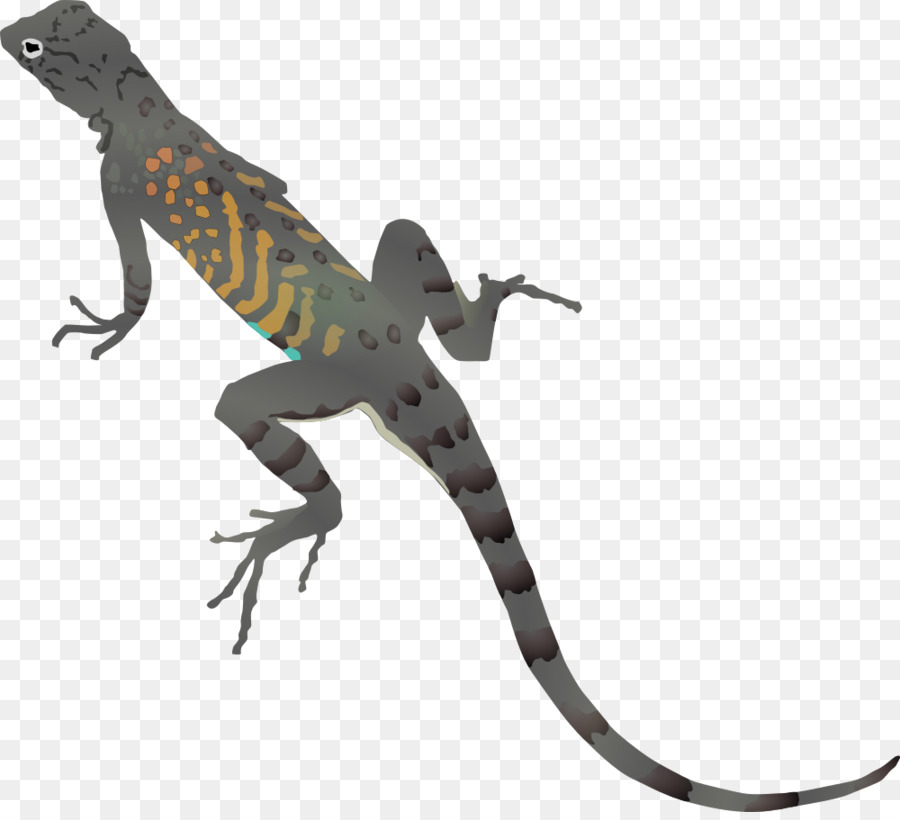 iguana clipart lizard tail