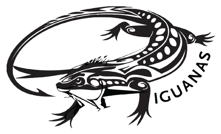 iguana clipart newt