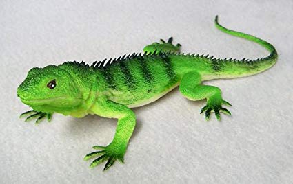 Iguana clipart rainforest amazon. Plastic inches long f