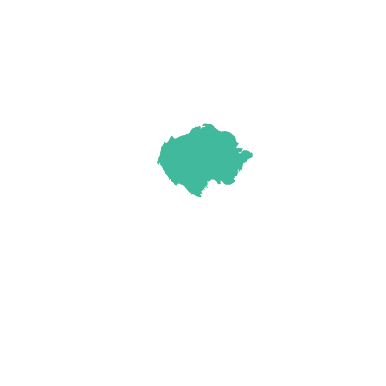 Iguana clipart rainforest amazon. Amaz nia font inspired