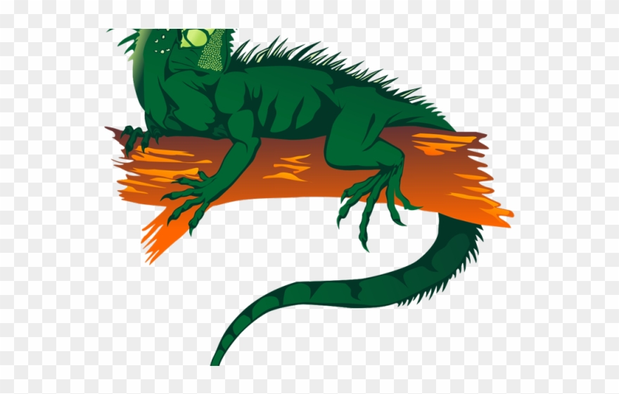 Green iguana animals png. Rainforest clipart rainforest lizard