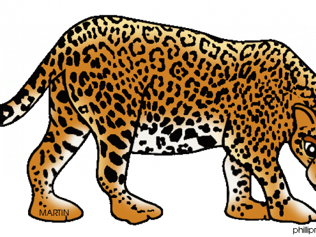 Jaguar clipart rain forest animal, Jaguar rain forest animal ...