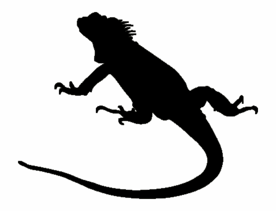 iguana clipart silhouette