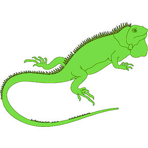 Cliparts of free download. Iguana clipart vector