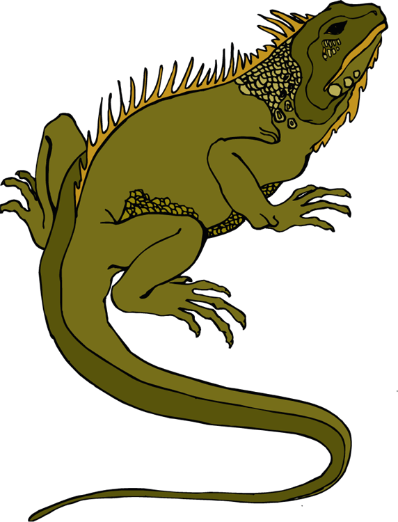 Free download best on. Iguana clipart vector