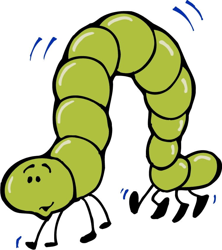 Worm clipart inchworm. Free inch cliparts download