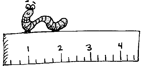 Inchworm black and white. Worm clipart one