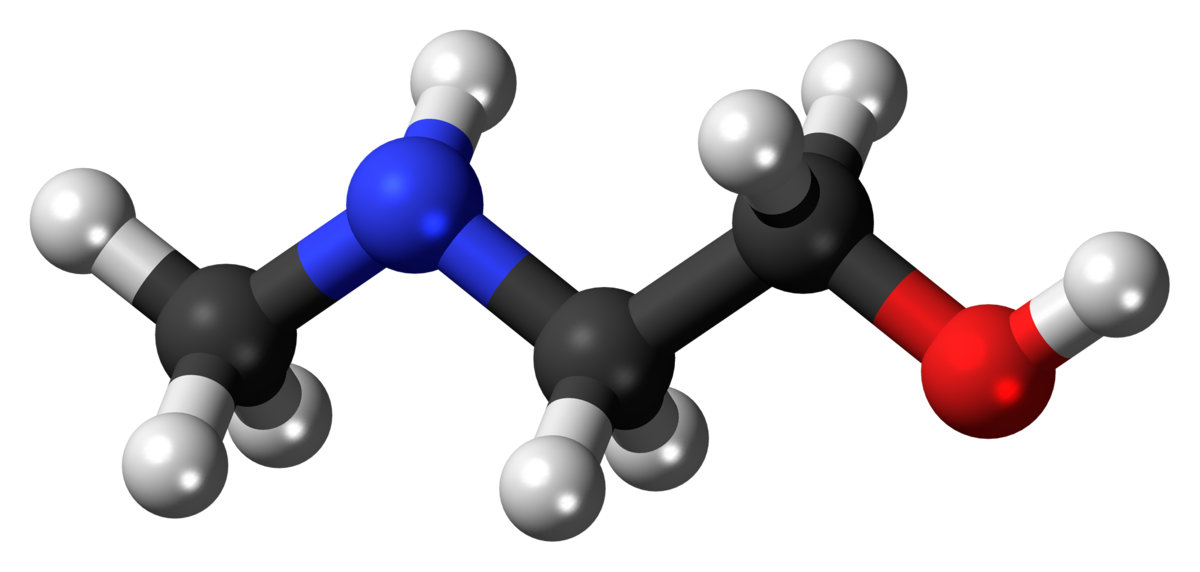 inchworm clipart bioaccumulation