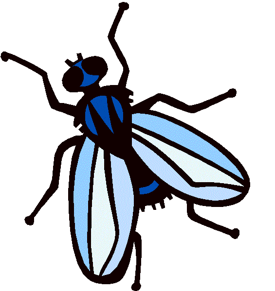 inchworm clipart centipede