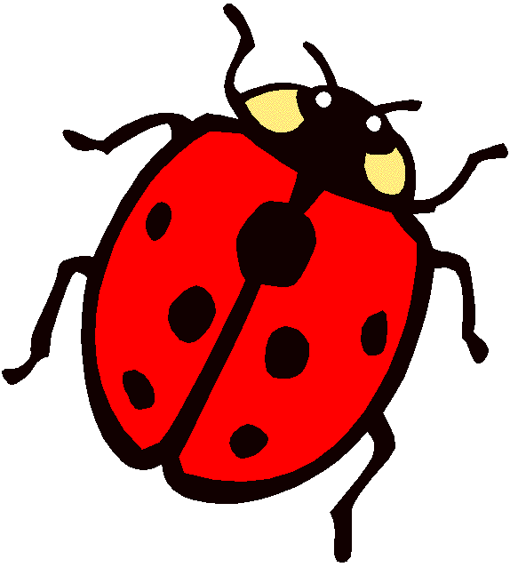 inchworm clipart centipede