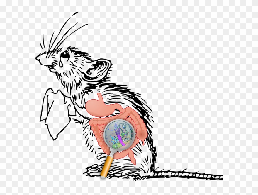 inchworm clipart centipede