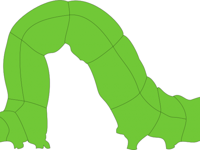 Inchworm clipart cutterpillar.  earthworm free clip