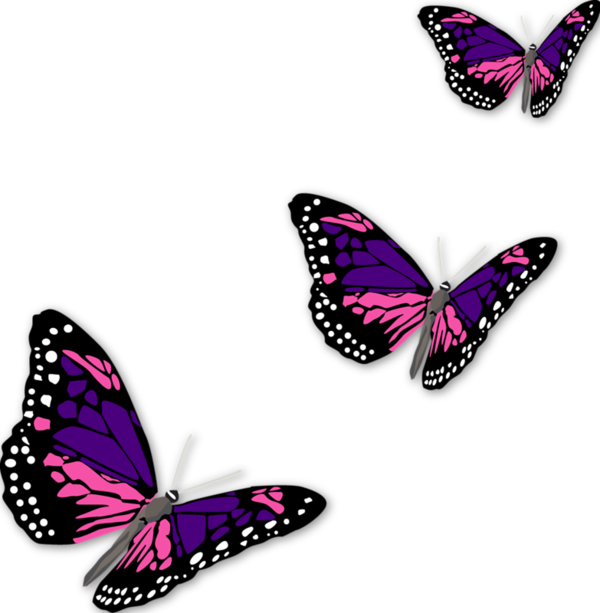 Butterflies pinterest butterfly. Ladybug clipart junebug
